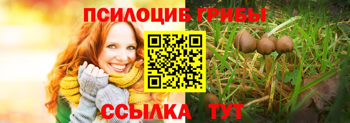 Галлюциногенные грибы Psilocybine cubensis Лесосибирск