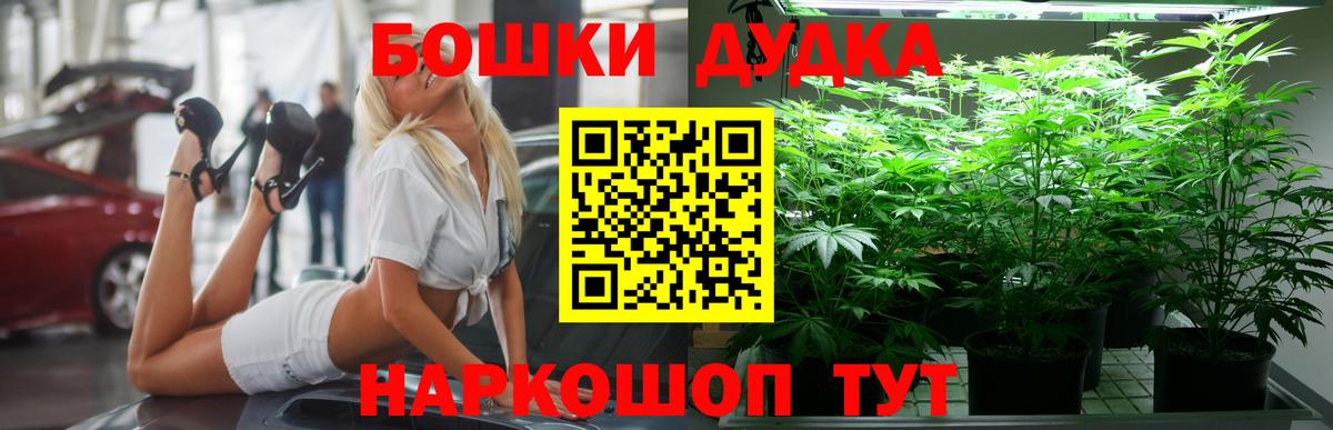 Канабис Лесосибирск